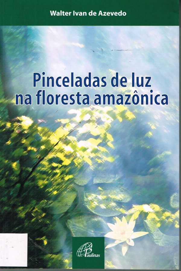 Pinceladas de luz na floresta amazônica